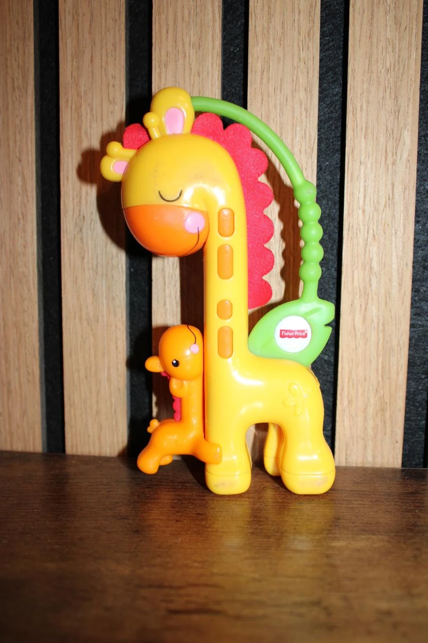Hochet d'éveil pour bébé Fisher-Price